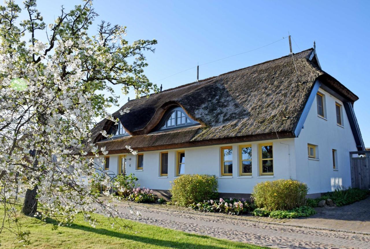 Ferienwohnungen Im Fischerdorf Und Neu Reddevitz 외부 사진