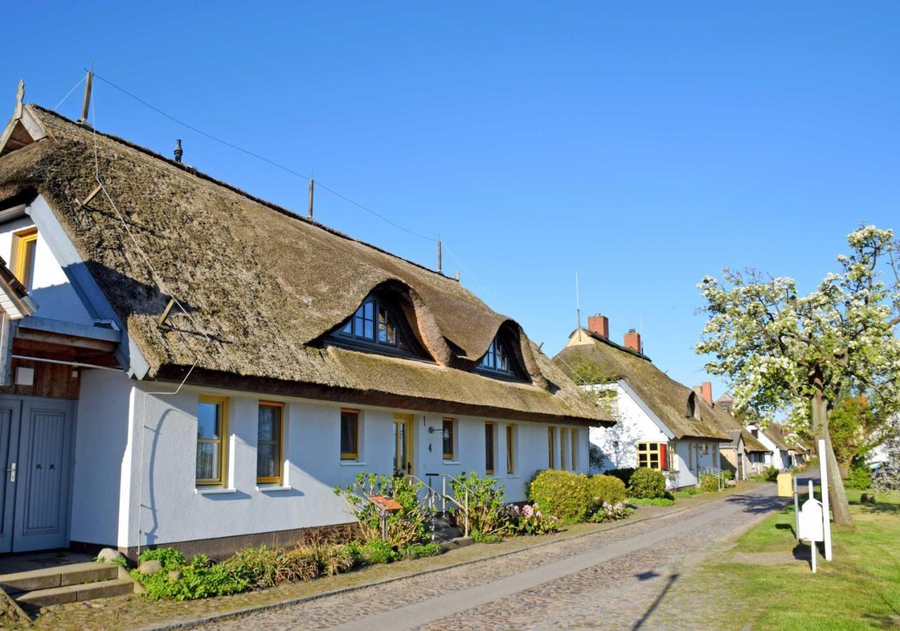 Ferienwohnungen Im Fischerdorf Und Neu Reddevitz 외부 사진